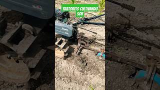 tratorito cultivando sozinho tratorito agro [upl. by Sprage787]