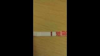 14 dpo pregnancy test Another evap Bad batch Video 1of 4 [upl. by Zizaludba37]