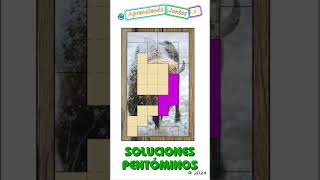 9000 Soluciones 13 Rompecabezas Matemático de Pentóminos Shorts puzzlegames [upl. by Lachance]