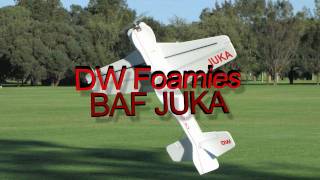 3D Fun Flying  DW Foamies 48quot BAF JUKA [upl. by Robbert]