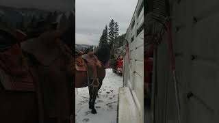 Horseback riding in the snow Montana [upl. by Ecnerewal756]