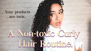 A CLEAN Curly Hair Routine NONTOXIC [upl. by Eseuqcaj]