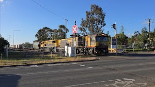 TasRail TR11 2053 55 train crossing Hoblers Bridge Road [upl. by Engle125]