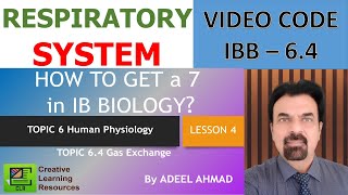 Gas Exchange IB Biology Topic 64 [upl. by Eanat]