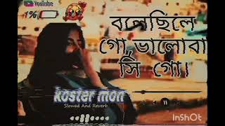 বলেছিলে গোভালোবাসি গো। Bolechile go bhalobasi go lofi song। বলবোনা গো আর কোনো new song ।sed gan [upl. by Landa]