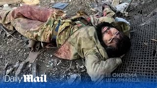 Two Ukraine soldiers capture wounded Russian major near Bakhmut [upl. by Emya]