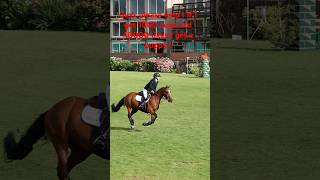 Us at hicksteadPlease sub it means allot horsesaremylife animals equestrian showjumping horse [upl. by Sheffy]