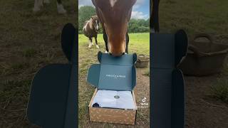 Opening our“Forelock and Fringe” June subscription box Use code SILLYPRUNE10 For discount horse [upl. by Doehne]