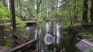 Capilano Suspension Bridge Park  VANCOUVER CANADA 2024 [upl. by Manly]