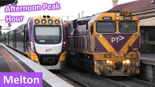 VLine Passenger Trains at Melton during Peak Hour  Melbourne Transport [upl. by Shanta]