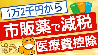 市販薬代で減税できる！医療費控除の特例「セルフメディケーション税制」を解説 [upl. by Darnoc]