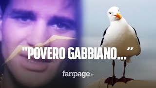 quotPovero gabbiano hai perduto la compagnaquot da dove viene l’audio diventato virale su TikTok [upl. by Tioneb]