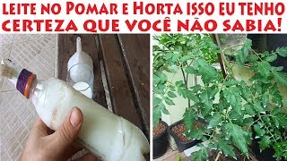 LEITE nas plantas isso tenho certeza que você não sabia [upl. by Nimref]