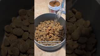 Boost your dogs health with Fifth amp Fidos Turkey Tail Mushroom [upl. by Merralee930]