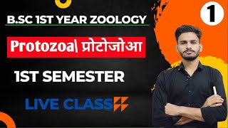 प्रोटोजोआ BSc 1st year zoology chapter 1 in hindi  bsc 1st year zoology  zoology bsc 1st year [upl. by Monk499]