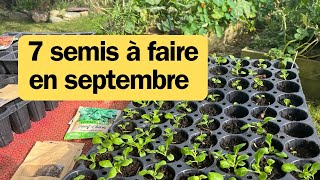 7 semis 🌱 à faire en septembre [upl. by Ennairek]