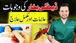 Dengue Fever And its Treatment [upl. by Enitsed]