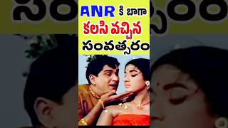 ANR MOVIES in 1971  Akkineni Nageswara Rao Vanisri Dasara Bullodu Movie  Tollywood Stuff [upl. by Leahcimal]