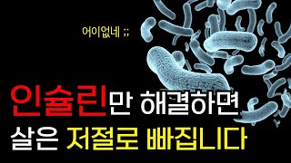 인슐린저항성 인슐린 다이어트가 가능한 이유  살빠지는 호르몬 [upl. by Ihdin]