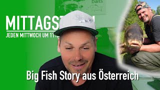 Big Fish Story Österreich 🐳 amp das richtige Material zum Karpfenangeln 🛠️  Mittagstisch 143 [upl. by Ecaidnac]