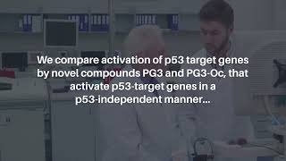 ISR Activation amp Apoptosis via HRI Kinase by PG3 and Other p53 Cancer Therapies  Oncotarget [upl. by Nadabb]