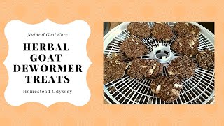 Making Herbal Goat Deworming Cookies Natural Goat Care [upl. by Aggi]