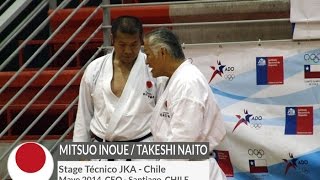 Stage Técnico Internacional JKA 2014 Mitsuo Inoue y Takeshi Naito 日本空手協会 [upl. by Toogood560]