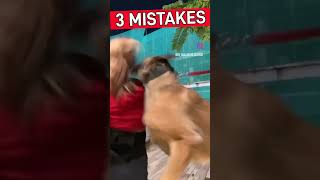 3 Mistakes to avoid when meeting a dog dog [upl. by Raye]