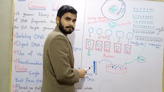 Genomic Library Class 12 In Urdu Hindi By Mr Hadi  Probe And Gene Searching  Chapter Biotechnology [upl. by Philana]