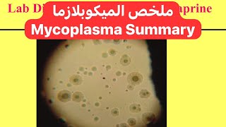 ملخص الميكوبلازما Mycoplasma Summary [upl. by Nylacaj]