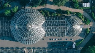 The Botanical Garden Copenhagen [upl. by Celene]