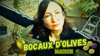 27  COMMENT FAIRE DES OLIVES EN SAUMURE MAISON  YTB27mp4 [upl. by Yrtnahc414]