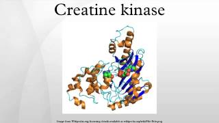 Creatine kinase [upl. by Sarid110]