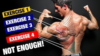 The PERFECT Back Workout Sets and Reps Included [upl. by Groark]