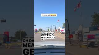 Hey siri goodvibesonly saskatchewan canada Send comedy heysiri siri comedyvideos souperkire [upl. by Wilkie426]