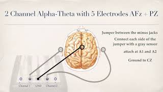 2Channel Synchrony and Alpha Theta Placements [upl. by Sadnac]