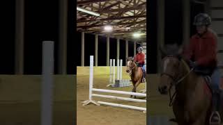 Hotel room fypシ゚viral horseriding horsejumping showjumping [upl. by Eunice]