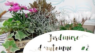 ✿ Jardinière dautomne 2  Lierre cyclamen chrysanthème calocephalus et plante mystère [upl. by Ardnekahs]