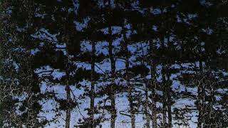 Harald Oskar Sohlberg 5 Hours 5 Paintings art screen saver no music [upl. by Llenyar]