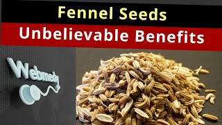 Health Benefits of Fennel Seeds  Top 10 Fennel Seeds Benefits [upl. by Willyt]