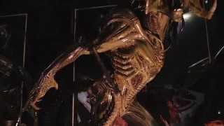 Predalien Maquette Review Sideshow Collectibles [upl. by Lundquist209]