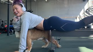 Dog Gets Inside Owners TShirt While She Works Out in Gym  1094423 [upl. by Cristionna]