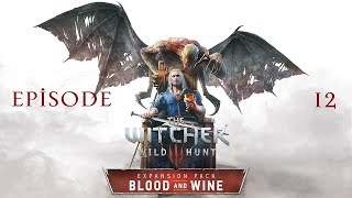 The Witcher 3 Blood and Wine Ep 12 Whose Zip Line Is It Anyway [upl. by Atreb]