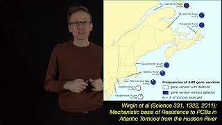 Lecture 09 concept 08 Evolution can happen fast  tomcod PCB resistance [upl. by Seth191]