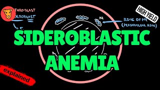 SIDEROBLASTIC ANEMIA Pathogenesis of clinical symptoms Etiology Treatment for USMLE [upl. by Osborn]