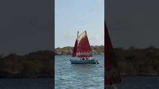 Beautiful gaff rigged sailing dinghy in Grenada grenada sailing sailboat dinghysailing dinghy [upl. by Anayrb]