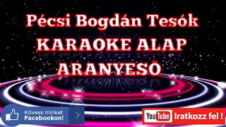 Pécsi Bogdán Tesók KARAOKE SHOW ZENEI ALAP  ARANYESŐ [upl. by Giavani]