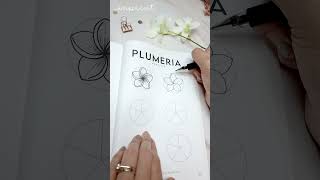 How 2 draw a PLUMERIA [upl. by Atiuqet]