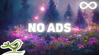 NO ADS Warm Embrace 8 Hours of Relaxing Sleep Music with Dreamy Photos [upl. by Kingsley]