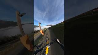 Unreal Above the clouds flowcam short shorts ytshorts sport mtb epic viral trending [upl. by Willms132]